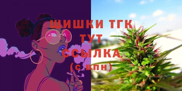прущие крисы Кулебаки