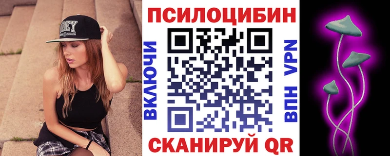 OMG зеркало  магазин продажи наркотиков  Дмитров  Галлюциногенные грибы прущие грибы 